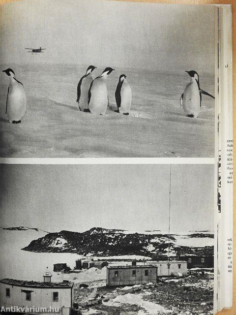 Magyarok az Antarktiszon