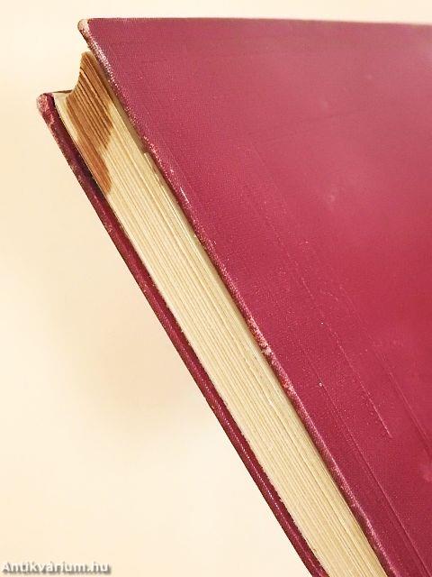 Tíz esztendő a Tűzföldön