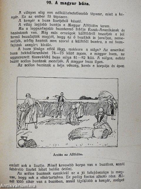 Magyar olvasókönyv