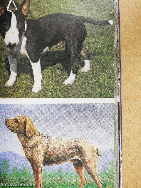 A világ kutyái I-II.