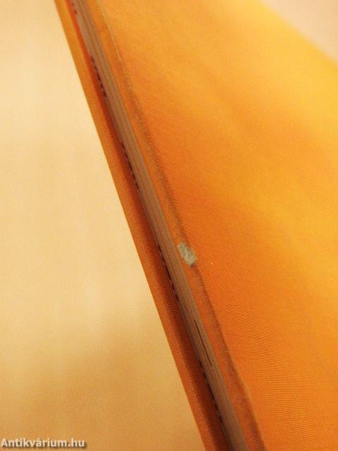 Becassine au pays Basque