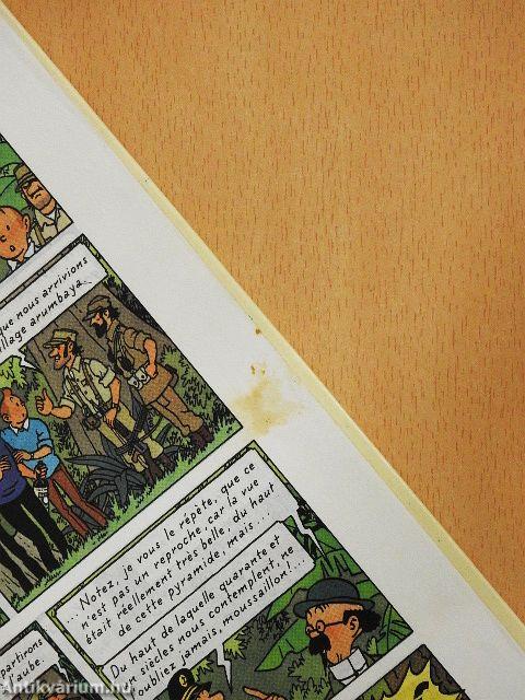 Tintin et les Picaros