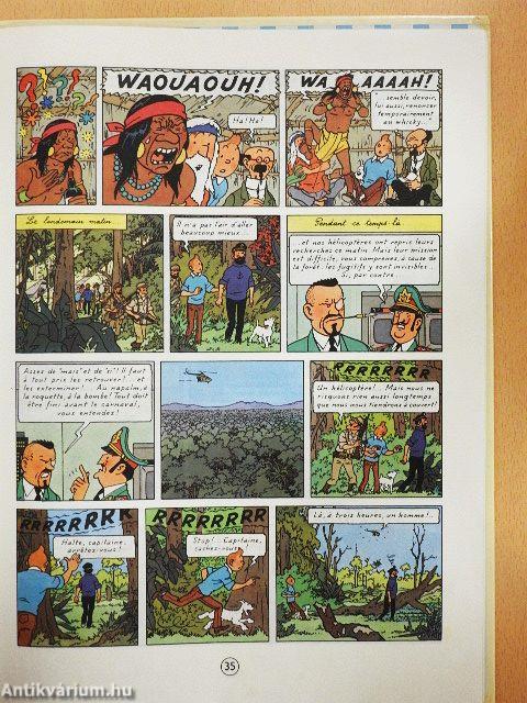 Tintin et les Picaros