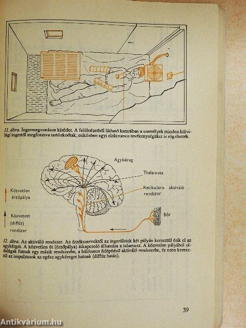 Általános pszichológia