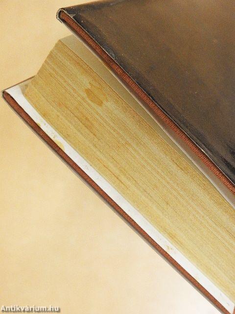 Az Isten háta mögött/A fáklya