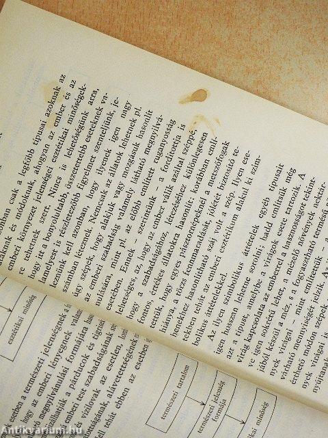 A mindennapi élet esztétikája