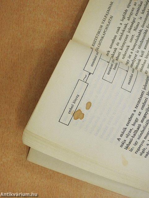 A mindennapi élet esztétikája