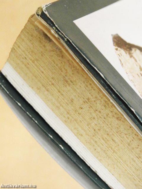 Vadász- és gyűjtőúton Kelet-Afrikában