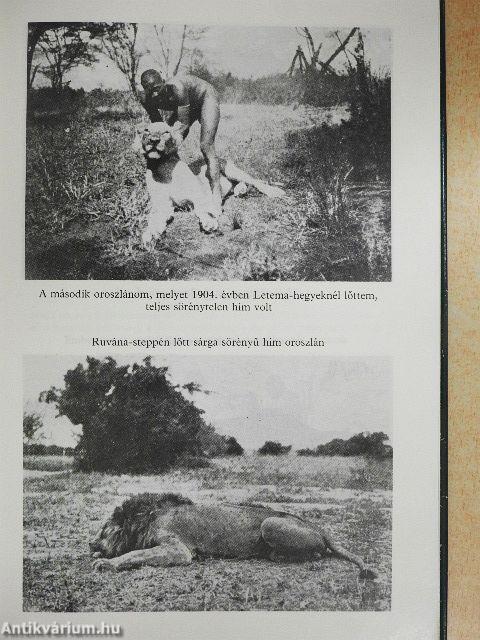 Vadász- és gyűjtőúton Kelet-Afrikában