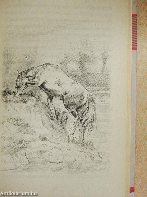 Örökké a szívemben élsz