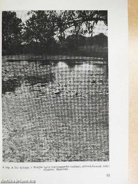 A Debreceni Déri Múzeum évkönyve 1981