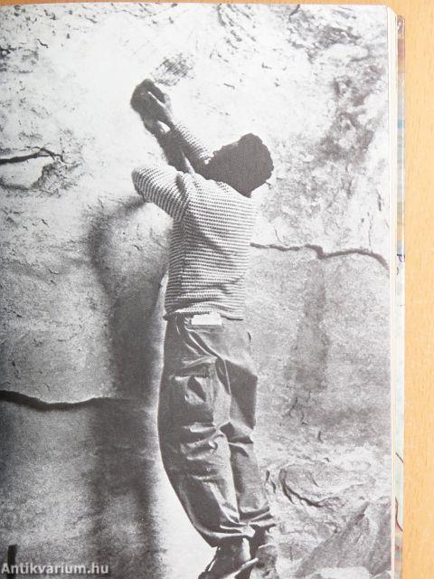 Sziklafestmények a Szaharában