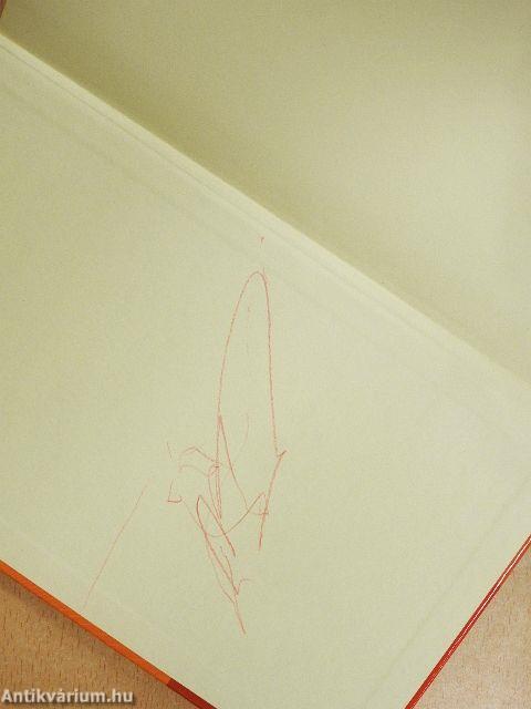 A rendszerelmélet távlatai