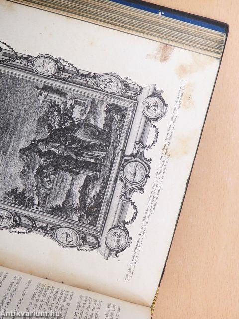 Tolnai Világtörténelme I-X.