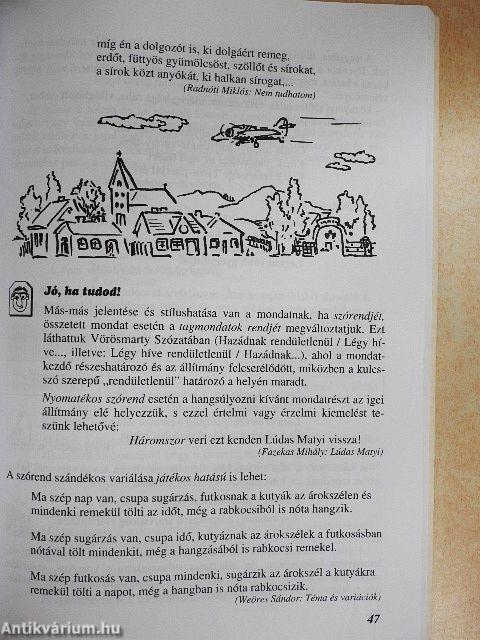 Nyelvtan, helyesírás, stilisztika - Tankönyv 10. osztály 