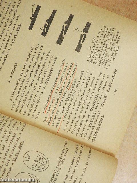 Bevezetés a fejlődéstanba