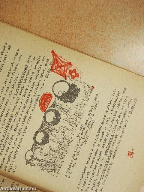 Bevezetés a fejlődéstanba