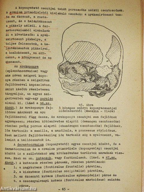 Bevezetés a fejlődéstanba