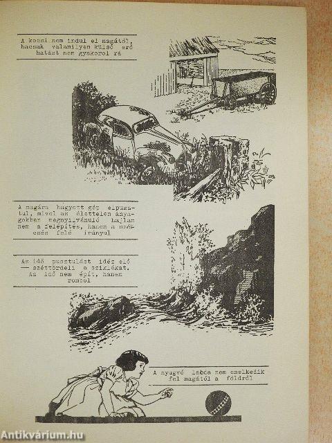 Evolúció vagy teremtés útján jött létre az ember?