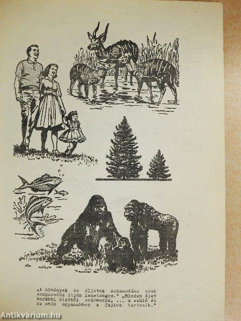 Evolúció vagy teremtés útján jött létre az ember?