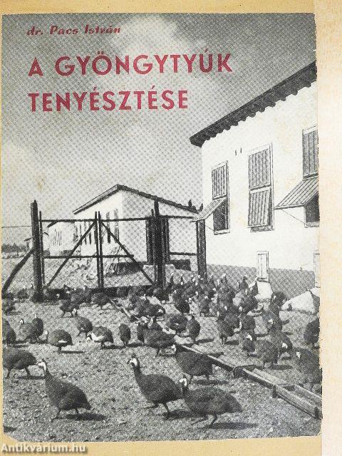 A gyöngytyúk tenyésztése