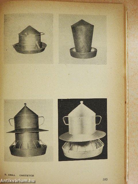 A gyöngytyúk tenyésztése