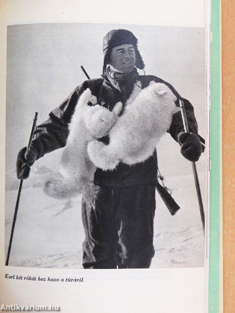 Asszony az Arktiszon