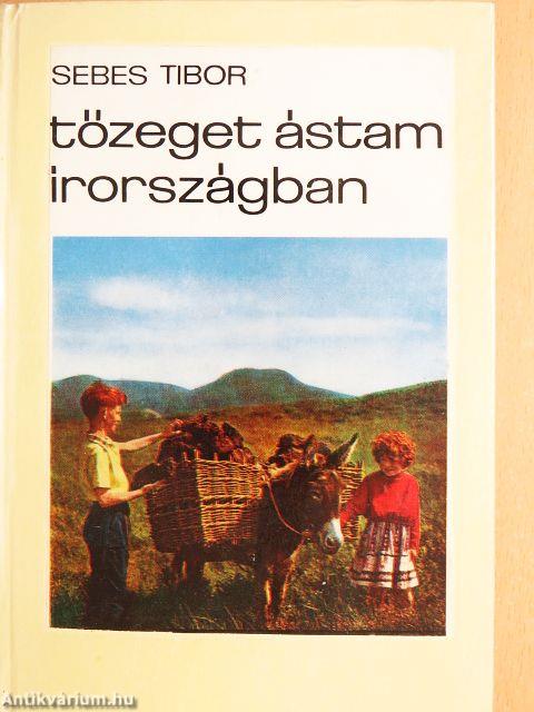 Tőzeget ástam Írországban