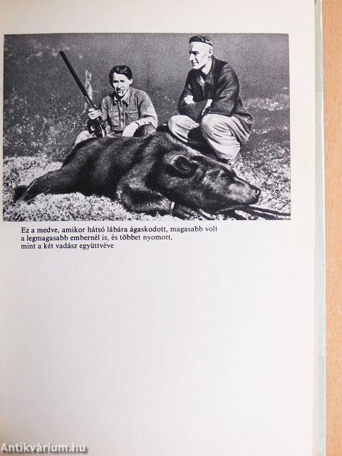 Tűzhányót találtunk