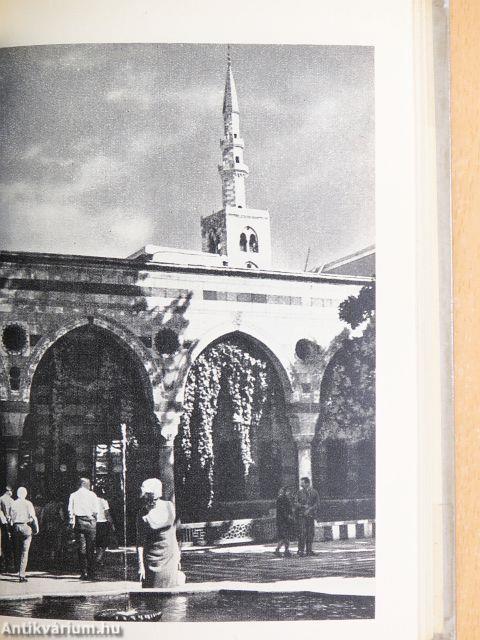 Legyen az egyik feleségem