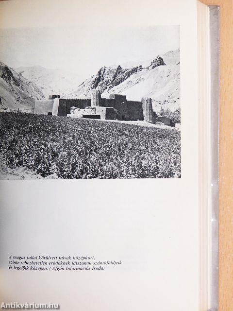 Afganisztán - fátyol nélkül