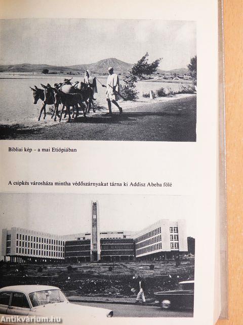 Asszonysorsok Afrikában