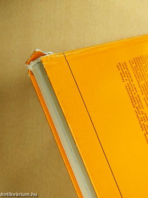 A nürnbergi huszonkettő