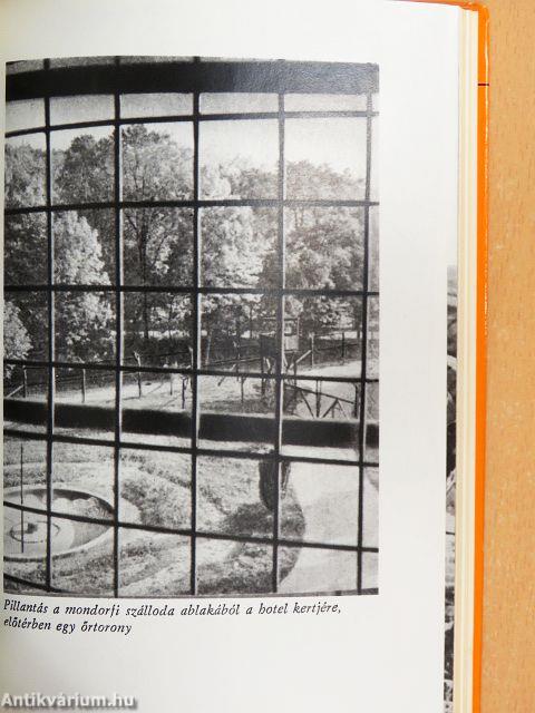 A nürnbergi huszonkettő