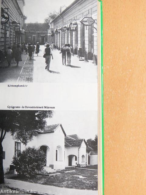 Bács-Kiskun megyei útikönyv