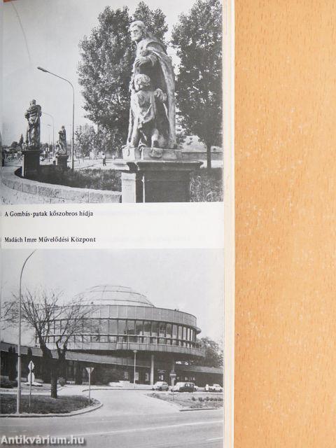 Vác és a Börzsöny vidéke