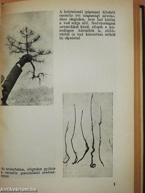 Erdészek és vadászok zsebkönyve 1959