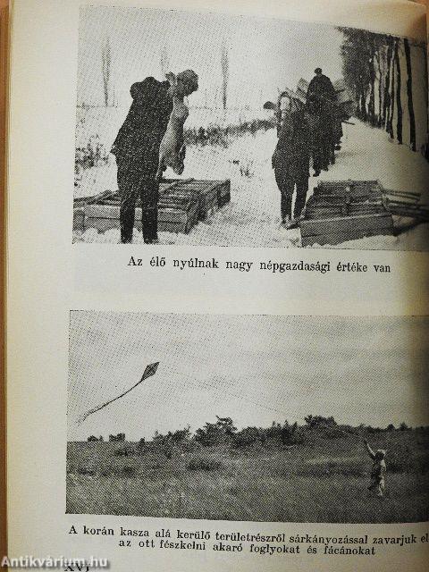 Erdészek és vadászok zsebkönyve 1959