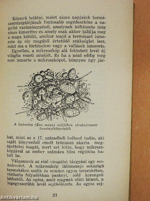 A növények élete