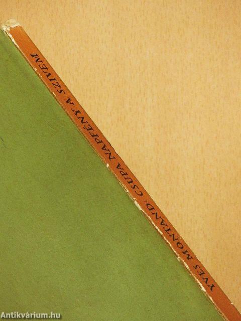 Csupa napfény a szivem