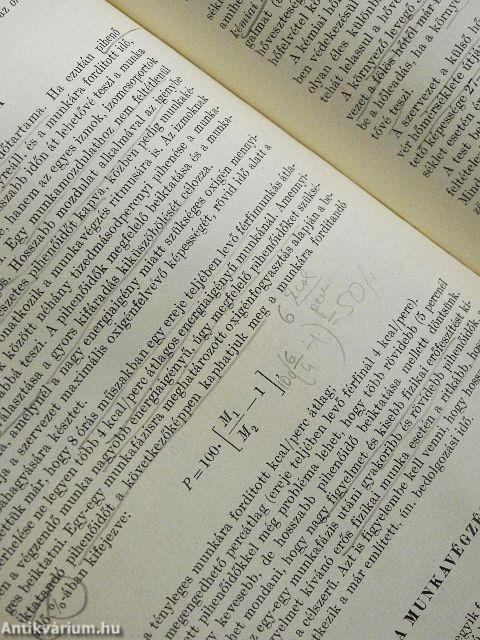 A közegészségtan és járványtan alapjai