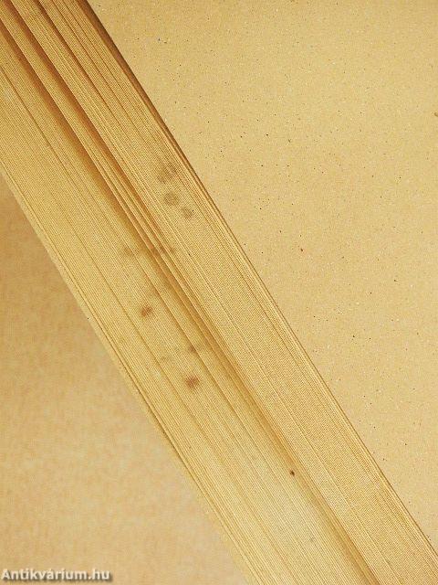 Az "ötödik" a tettes