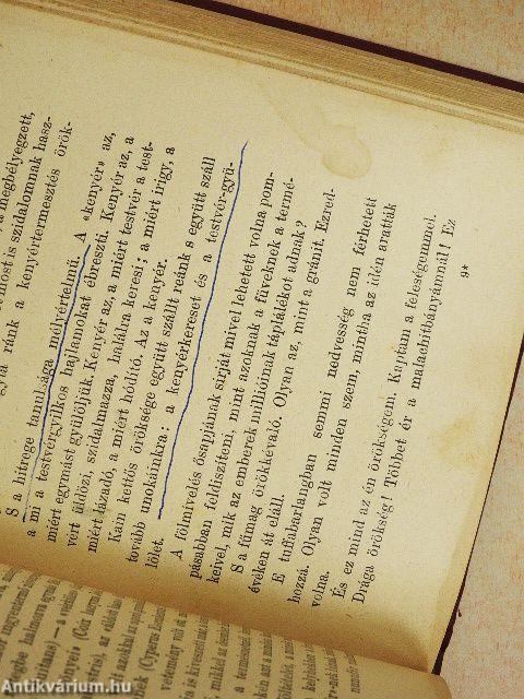 Egész az északi polusig!/A ki a szivét a homlokán hordja