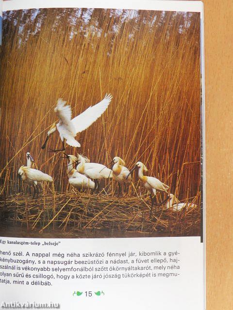 Ahol az ég a földet éri...