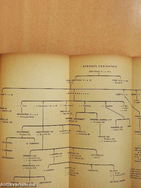 A zsidók története