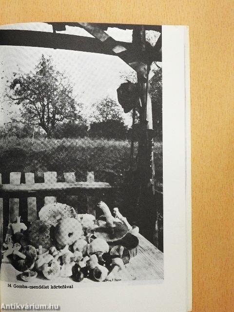 Pagony a Börzsöny szélén