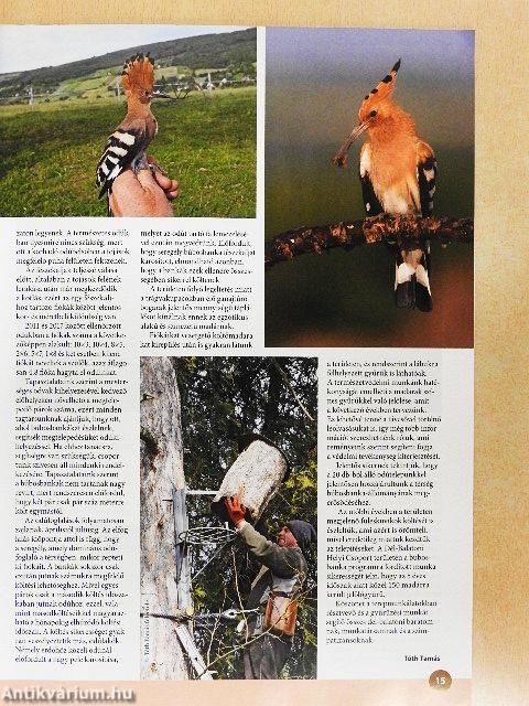 Madártávlat 2018. tavasz-tél