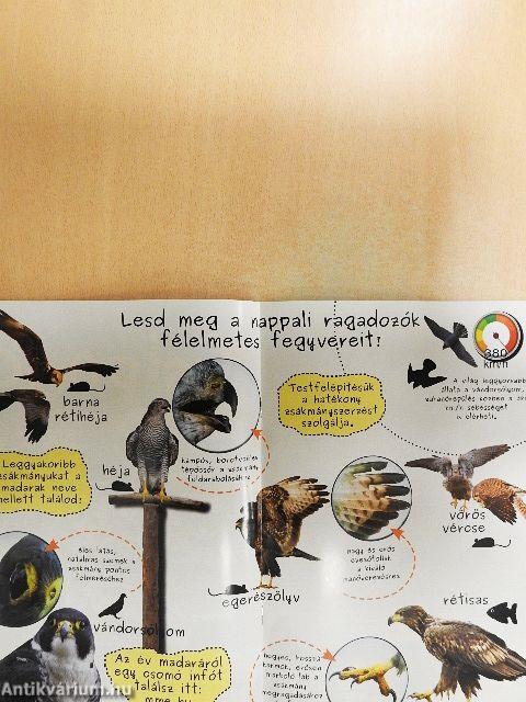 Madártávlat 2018. tavasz-tél