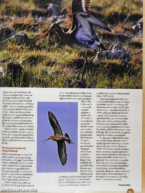 Madártávlat 2018. tavasz-tél