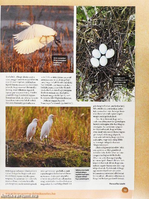 Madártávlat 2017. tavasz-tél